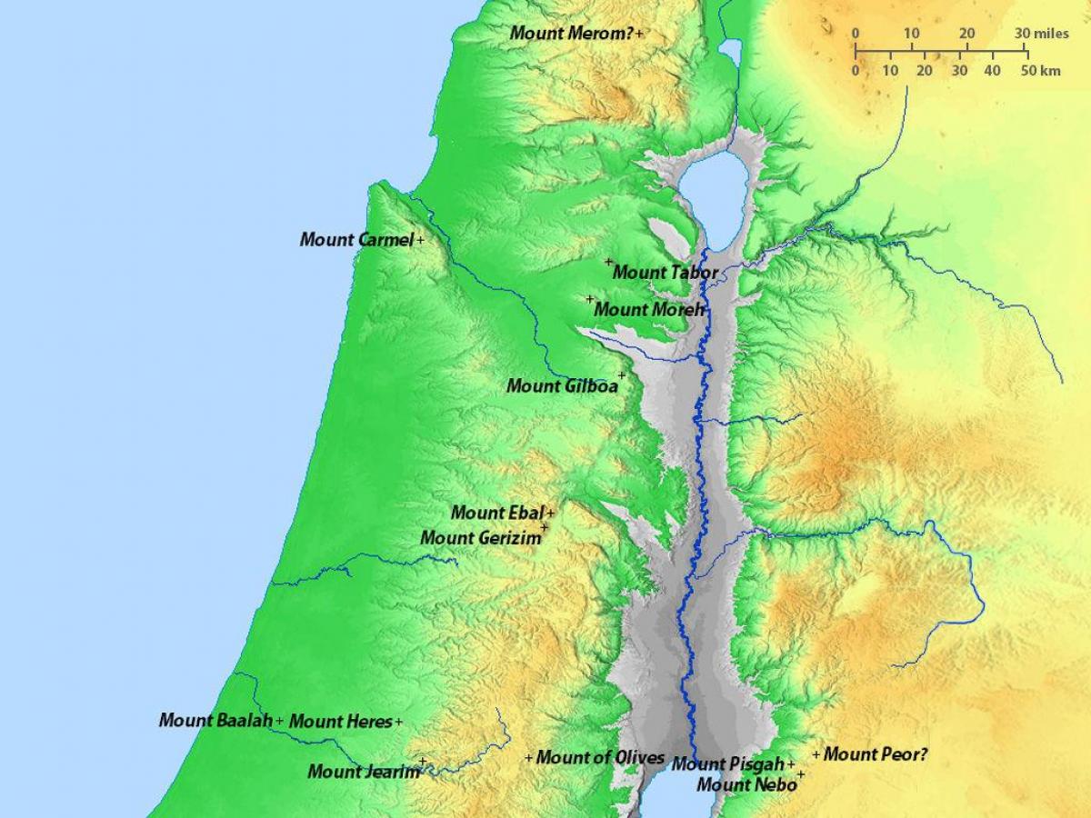 Лес Израиль карта